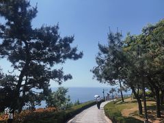 -燕儿岛山公园