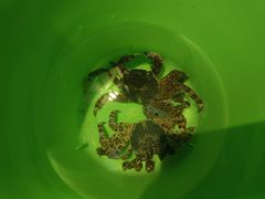 -三亚西岛海洋文化旅游区