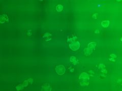 -福州罗源湾海洋世界旅游区