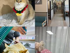 -爱派特动物医院·全科诊疗中心