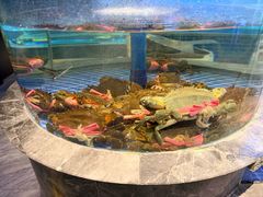 -海立阁海鲜江浙菜(漕河泾印象城店)
