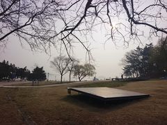 -在海一方公园