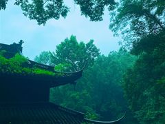 -虎跑公园