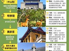 -好一朵茉莉花(老门东店)