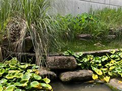 -中国湿地博物馆