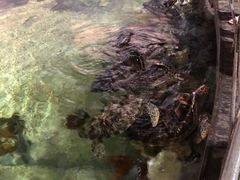 -福州罗源湾海洋世界旅游区