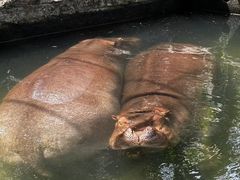 -宁波野生动物园