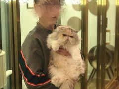 -猫大福·Fortune Cat猫舍(百子湾店)