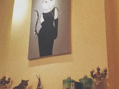 -猫色咖啡·猫咖