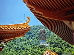 -深圳仙湖植物园