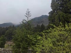 -罗田大别山峡谷漂流