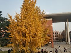 -四川大学(望江校区)