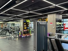 -健身专家Wellness Experts