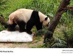 -广州长隆野生动物世界