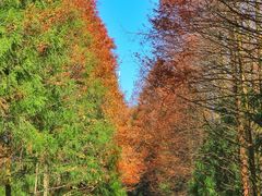 -山王坪喀斯特国家生态公园