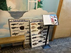 -镹·鱼料理  国产鱼使用店