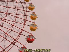 -南湖梦幻岛