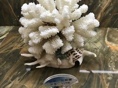 -上和臻品中国菜(花园街店)