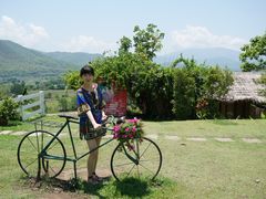 -黄色小屋