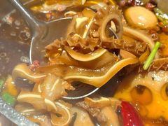 -蘑界·野生菌火锅(深业上城店)