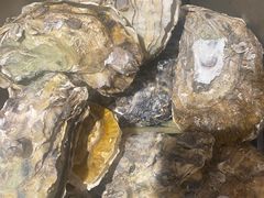 -杨氏青龙虾·羊蝎子(托乐嘉店)