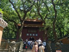 -普陀山风景名胜区-法雨禅寺