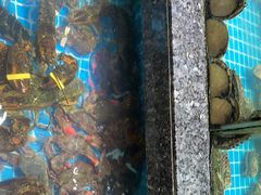 -渔码头食府(蓬莱阁店)