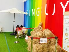 -金铂广场(龙归店)