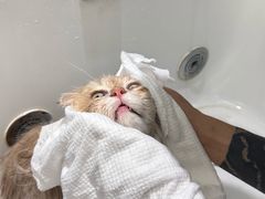 -FAELING PETS美天灵宠物(富力广场店)