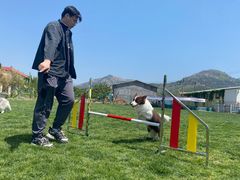 -趣玩宠物乐园寄养训犬训狗游泳池