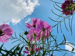 -旺山·浪头人家