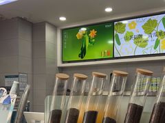 -雾与山茶(大禹城店)