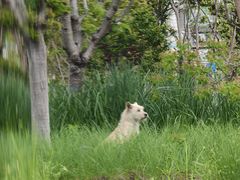 -宁波儿童公园(鄞州区)