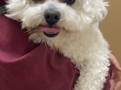 -瑞派康怡24h宠物医院·犬猫医疗中心·微创绝育(瑞景分院)