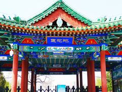 -莲花池公园