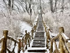 -洛阳白云山景区