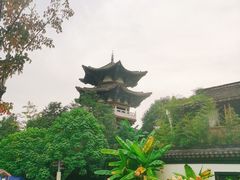 -武汉园博园(武汉自然博物馆)