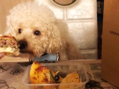 -G+KITCHEN(龙湖狮山天街店)