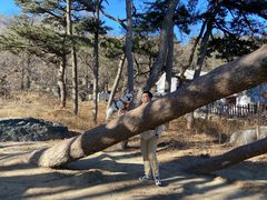 -阳台山自然风景区