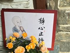 -寂照庵