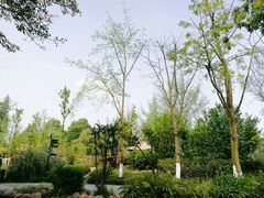 -成飞公园