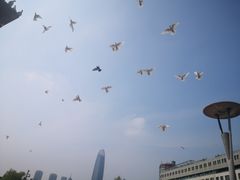 -泉城广场