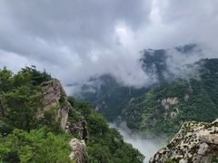 -牛背梁国家森林公园