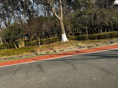-宜兴龙背山森林公园
