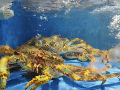 -徐记海鲜(大雁塔|金都店)