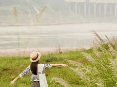 -菜园坝水果市场