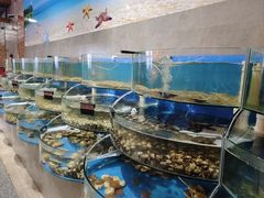 -蓝珊甄选海鲜自助·火锅大排档(近阿那亚店)