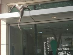 -飞行家太空体验馆(祥云小镇店)