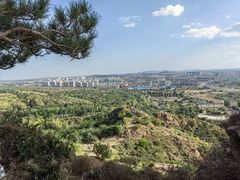 -红山国家森林公园