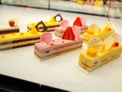 -BLACKSWAN黑天鹅(环球店)